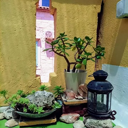 Beautiful Vintage House * 비스