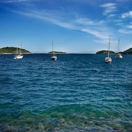 Beautiful Vintage House 비스